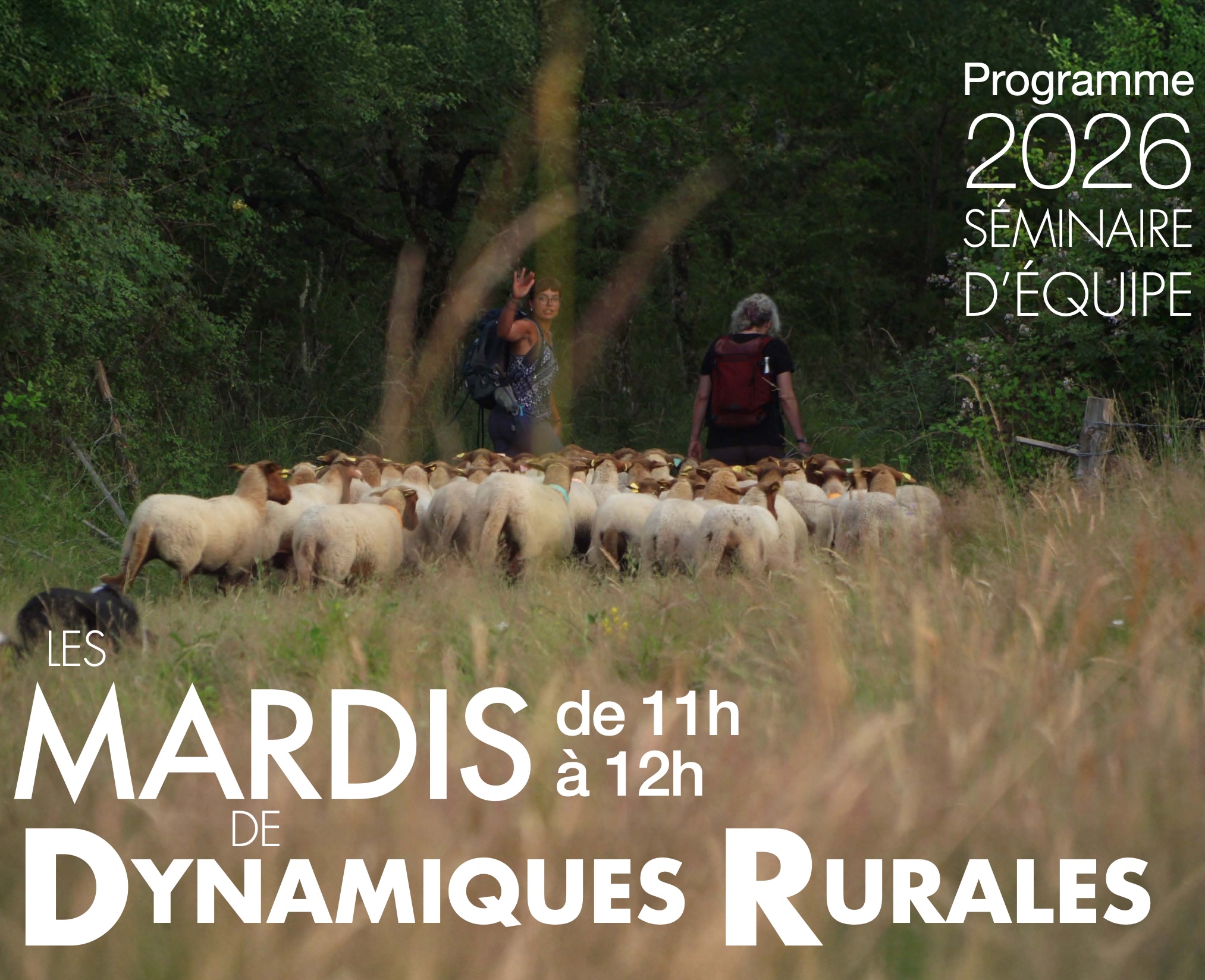 mardis_de_DR